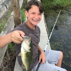 Meet your Posher, Frankie